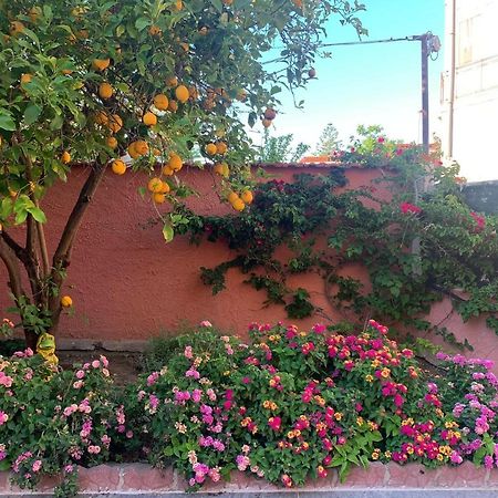 I Limoni Del Sud Sardegna Villa Assemini Exterior foto