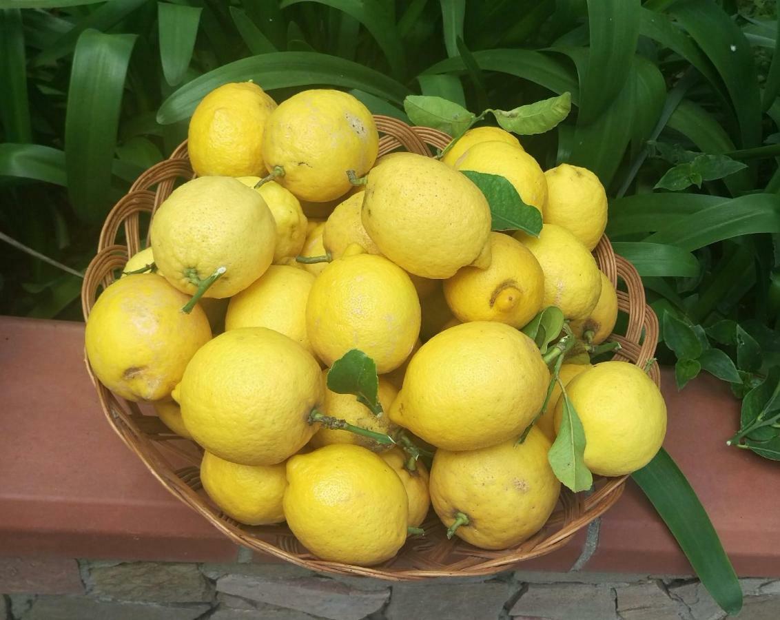 I Limoni Del Sud Sardegna Villa Assemini Exterior foto